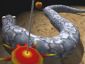 Snake 3d